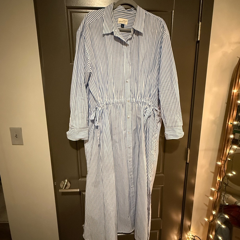 Universal Thread Blue and White Striped Maxi Dress